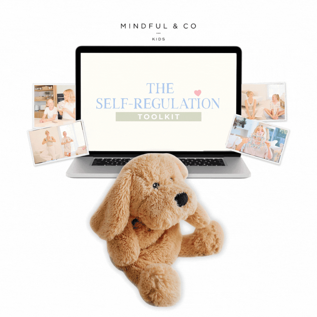 Weighted Buddy + Self-Regulation Toolkit