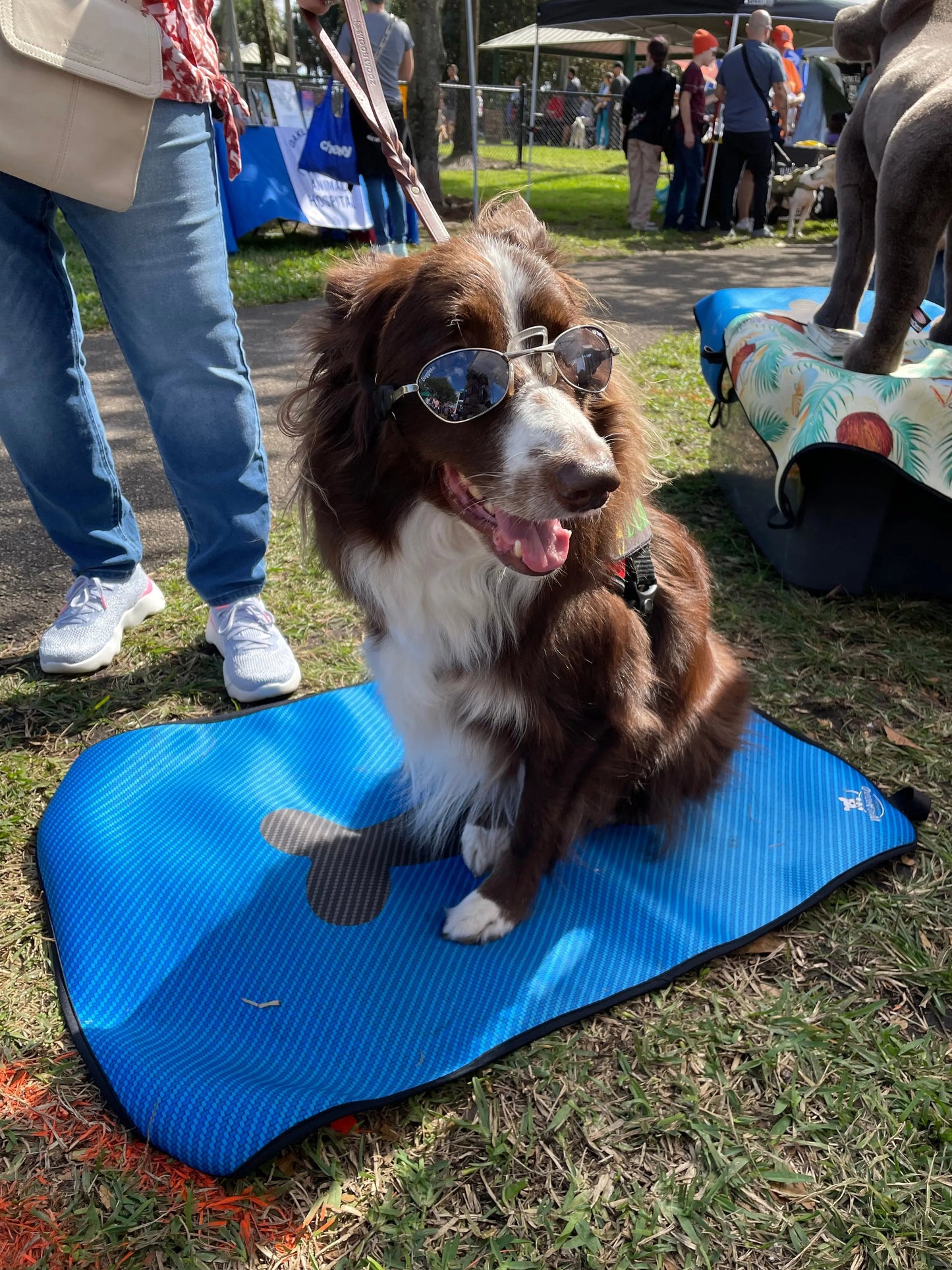 Dog Travel Mat- Blue Carbon Bone