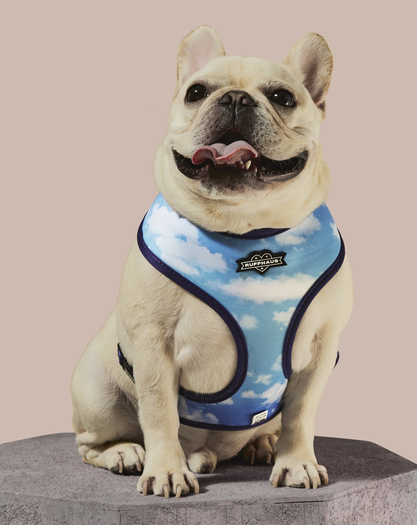 Zodiac Drip Reversible Dog Harness - Soft Neoprene, Adjustable, 2 Fun Patterns, Reflective Safety