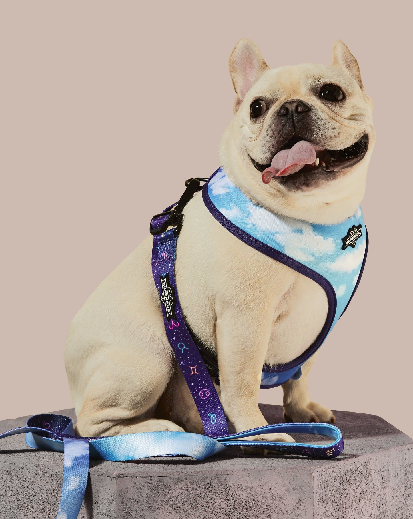 Zodiac Drip Reversible Dog Harness - Soft Neoprene, Adjustable, 2 Fun Patterns, Reflective Safety