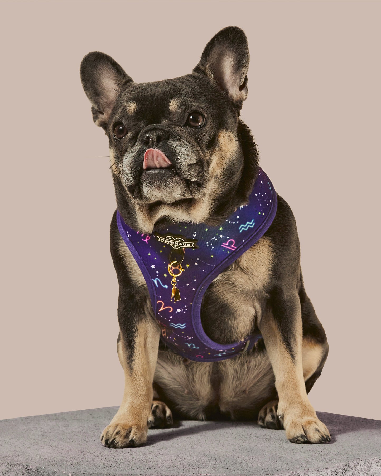 Zodiac Drip Reversible Dog Harness - Soft Neoprene, Adjustable, 2 Fun Patterns, Reflective Safety