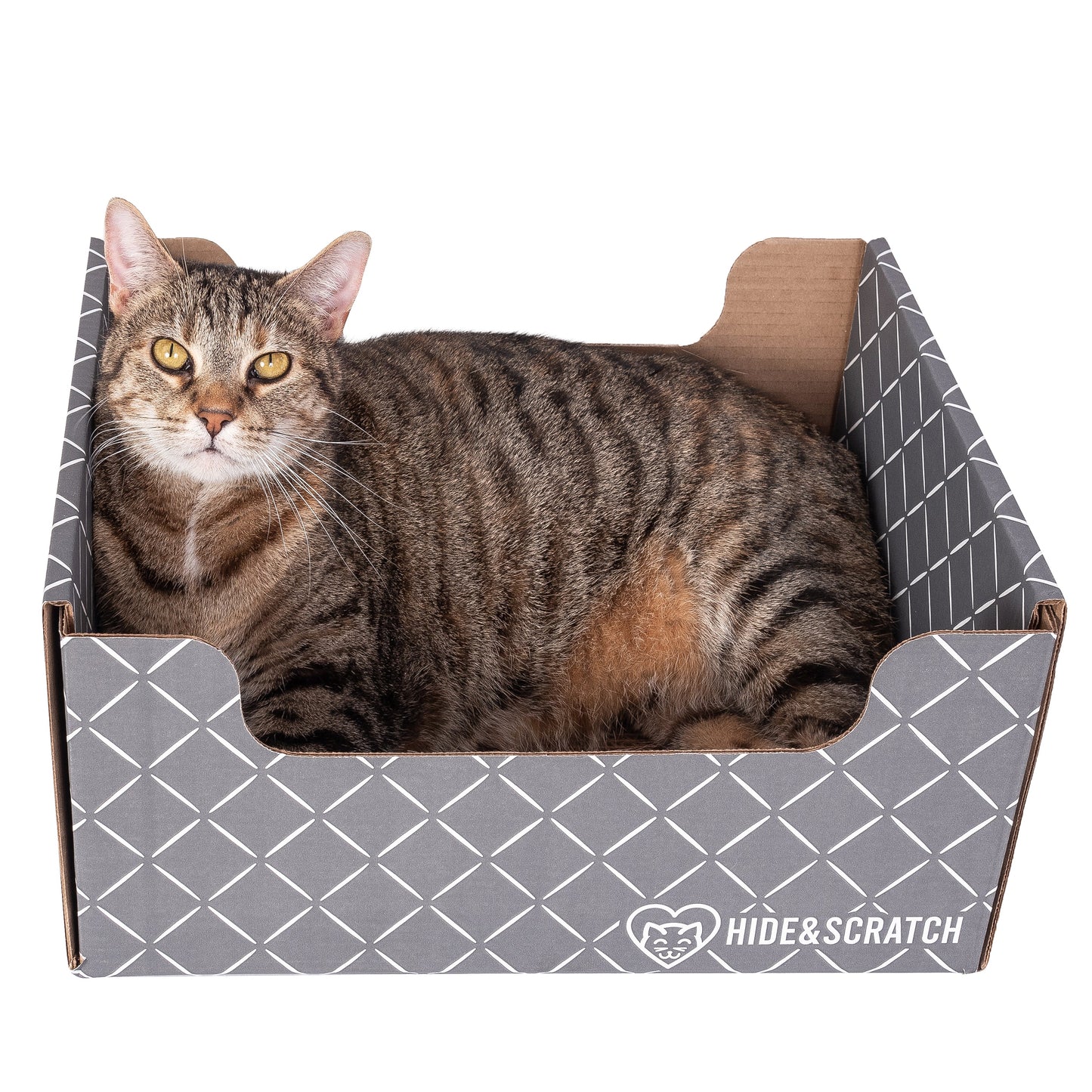 Extra-Large 13" Cat Scratcher Box for Indoor Cats - Hide & Scratch with Deep 7.5" Sides