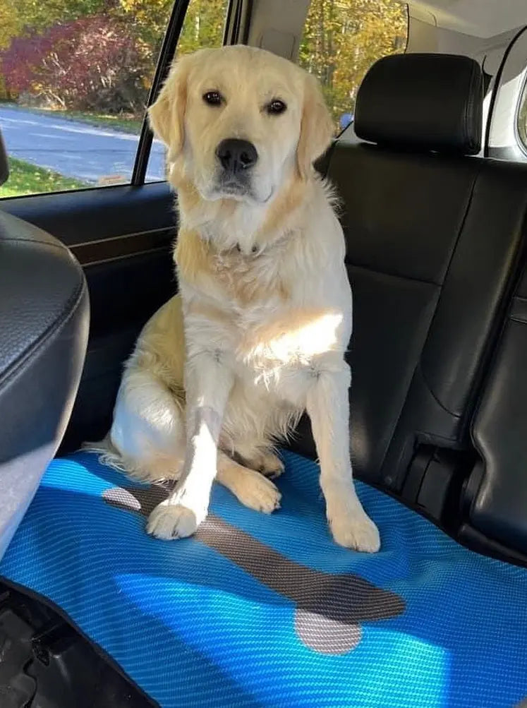 Dog Travel Mat- Blue Carbon Bone