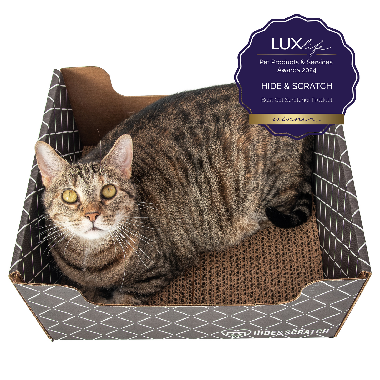 Extra-Large 13" Cat Scratcher Box for Indoor Cats - Hide & Scratch with Deep 7.5" Sides