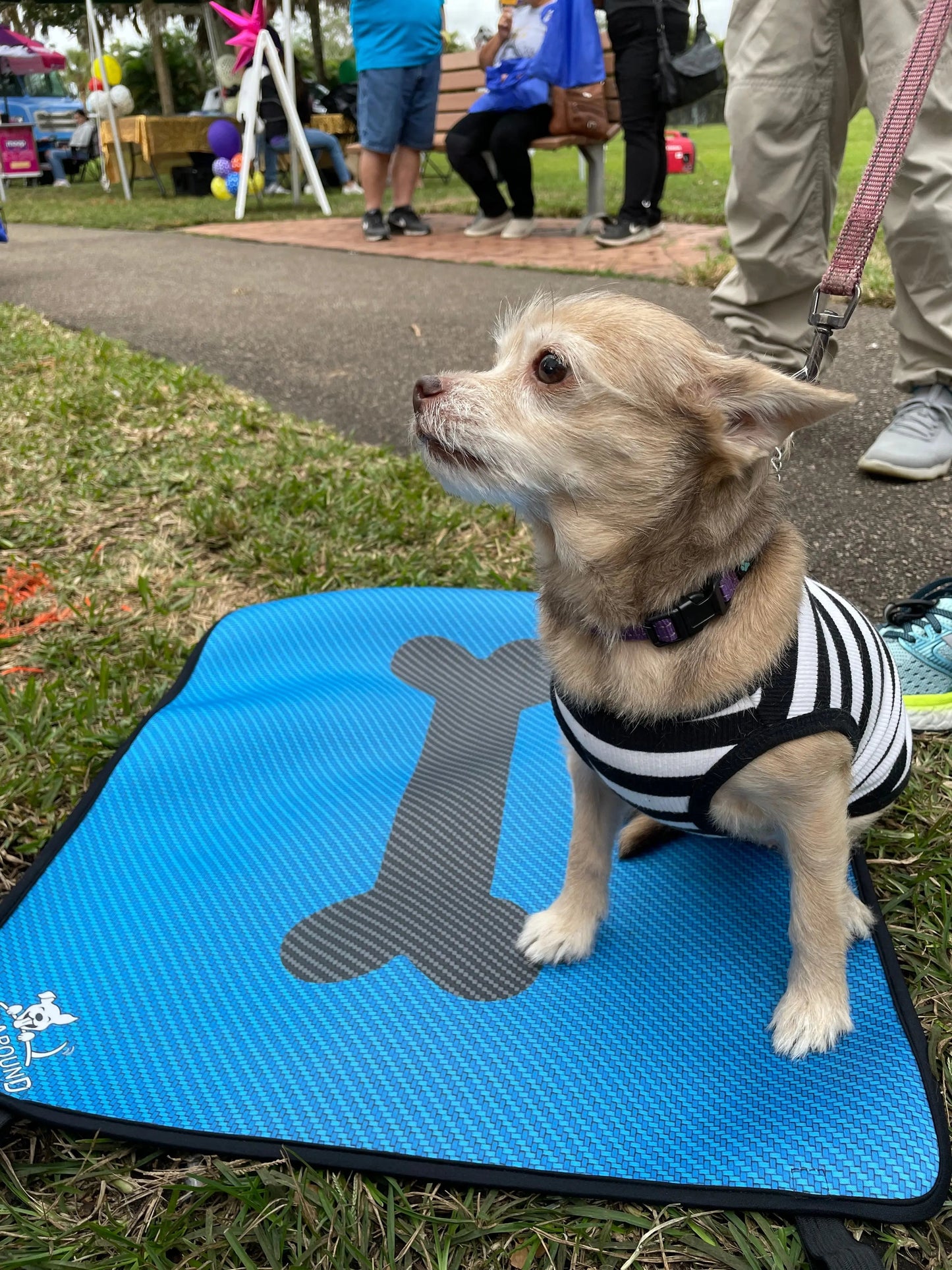 Dog Travel Mat- Blue Carbon Bone