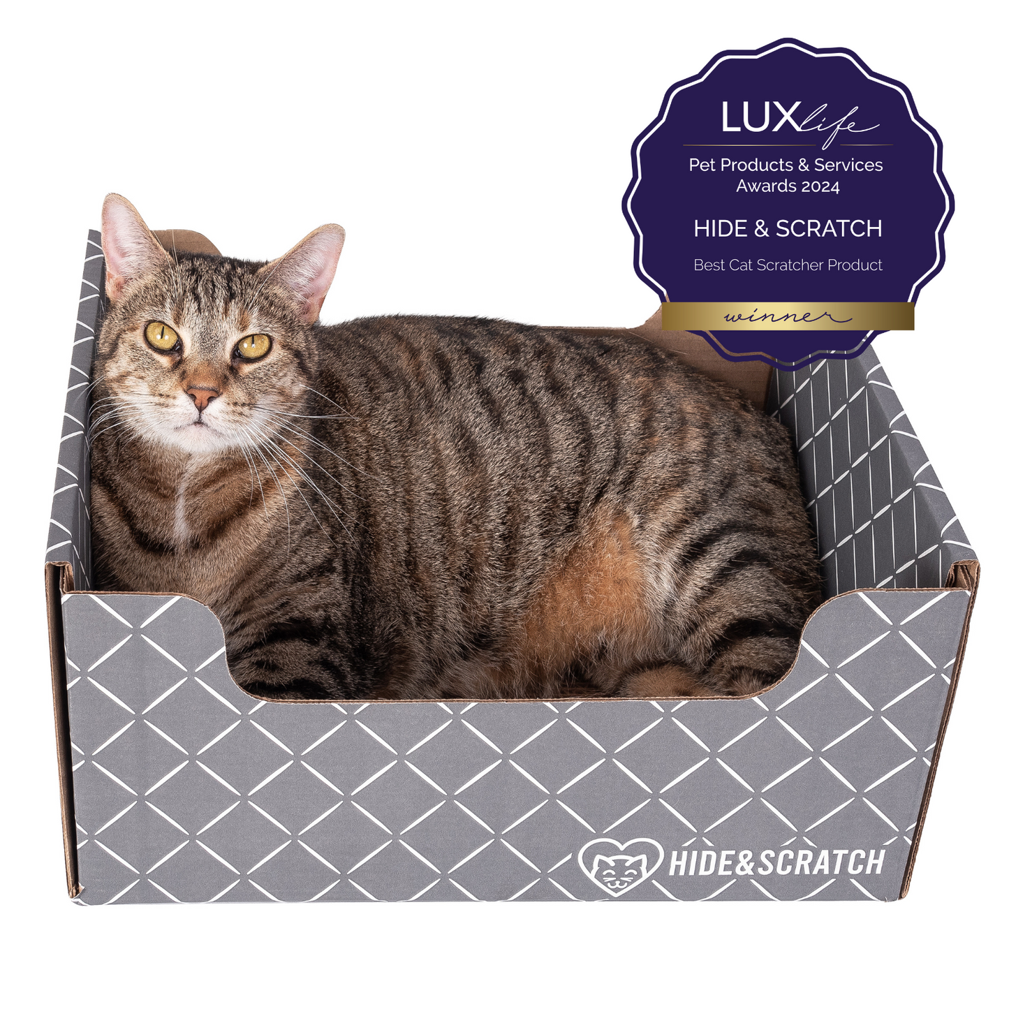 Extra-Large 13" Cat Scratcher Box for Indoor Cats - Hide & Scratch with Deep 7.5" Sides