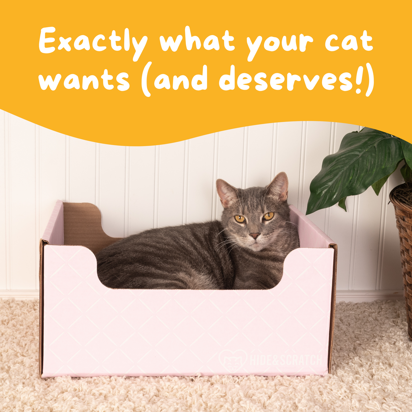 Extra-Large 13" Cat Scratcher Box for Indoor Cats - Hide & Scratch with Deep 7.5" Sides