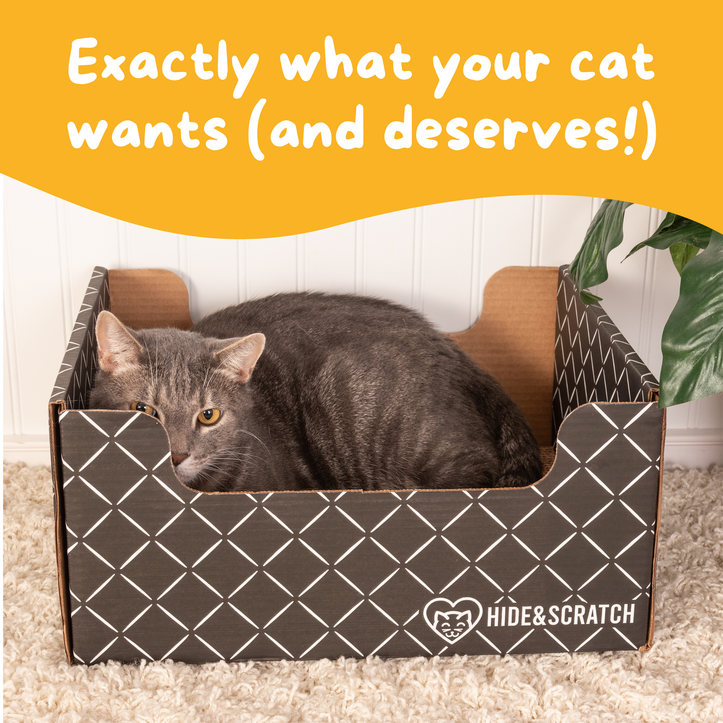 Extra-Large 13" Cat Scratcher Box for Indoor Cats - Hide & Scratch with Deep 7.5" Sides