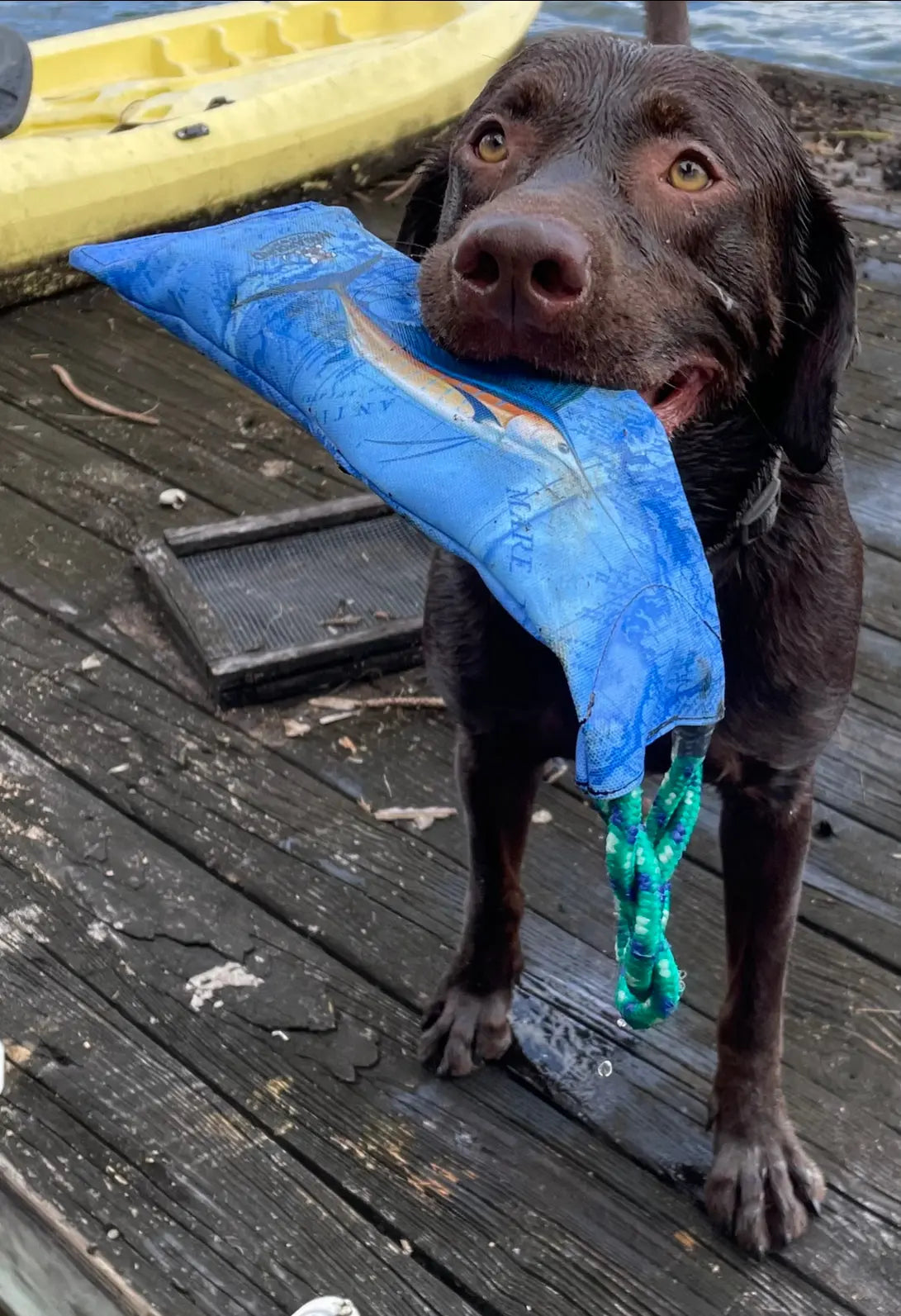 Durable Tiki Drink Floating Water Bottle Tug Dog Toy - Versatile for Beach, Boat & Home