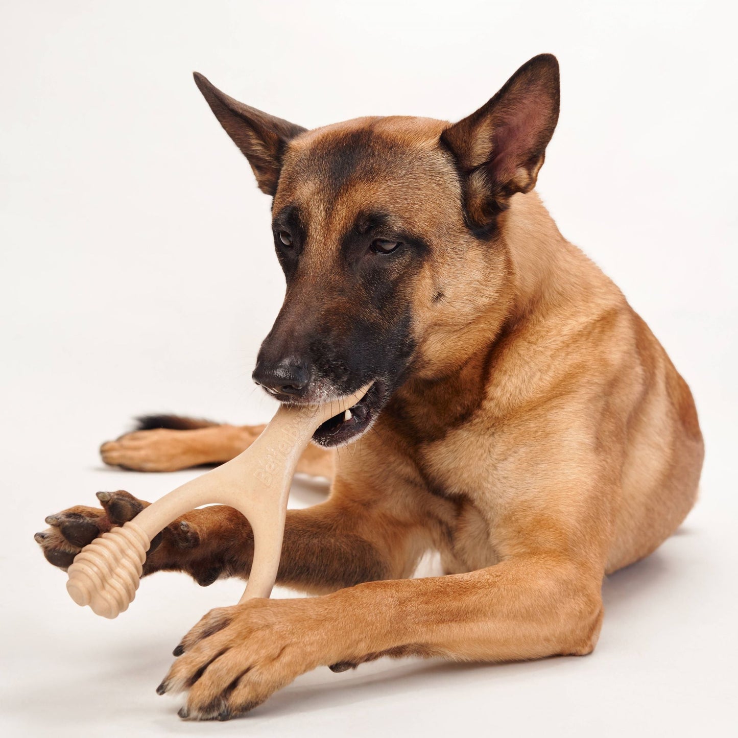 BetterBone MEDIUM Durability CHEW TOY: Perfect Chew for Everyday Chewers | Natural, Eco-Friendly, Non-Toxic