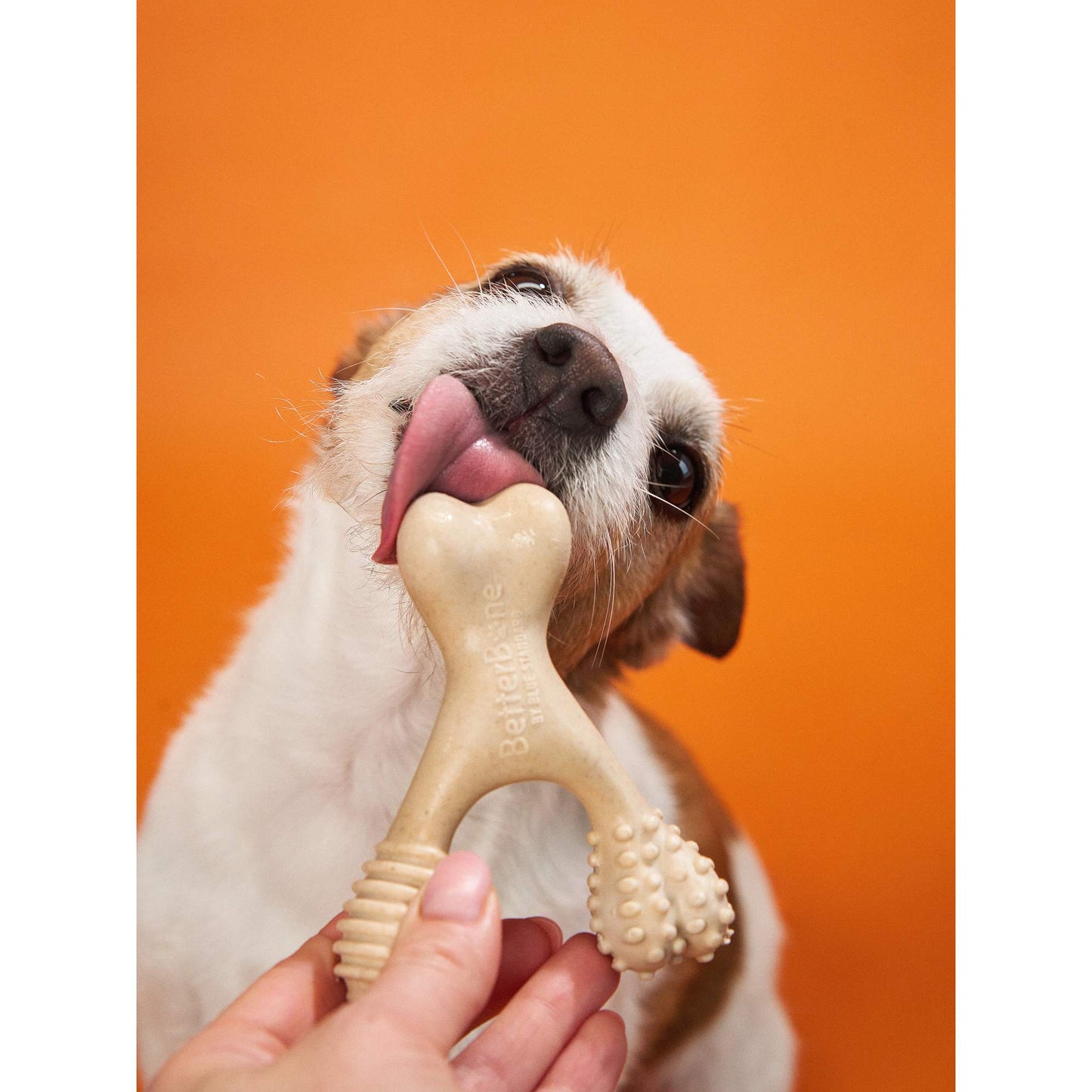 BetterBone HARD CHEW TOY: The natural, eco-friendly, and ultra-durable chew for the toughest chewers!