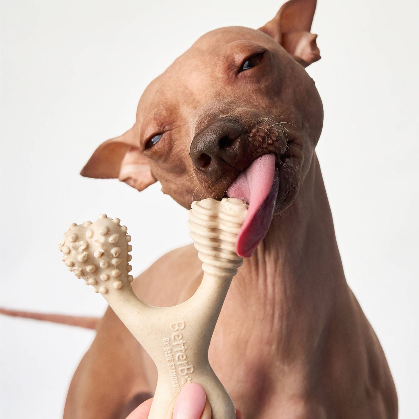 BetterBone MEDIUM Durability CHEW TOY: Perfect Chew for Everyday Chewers | Natural, Eco-Friendly, Non-Toxic