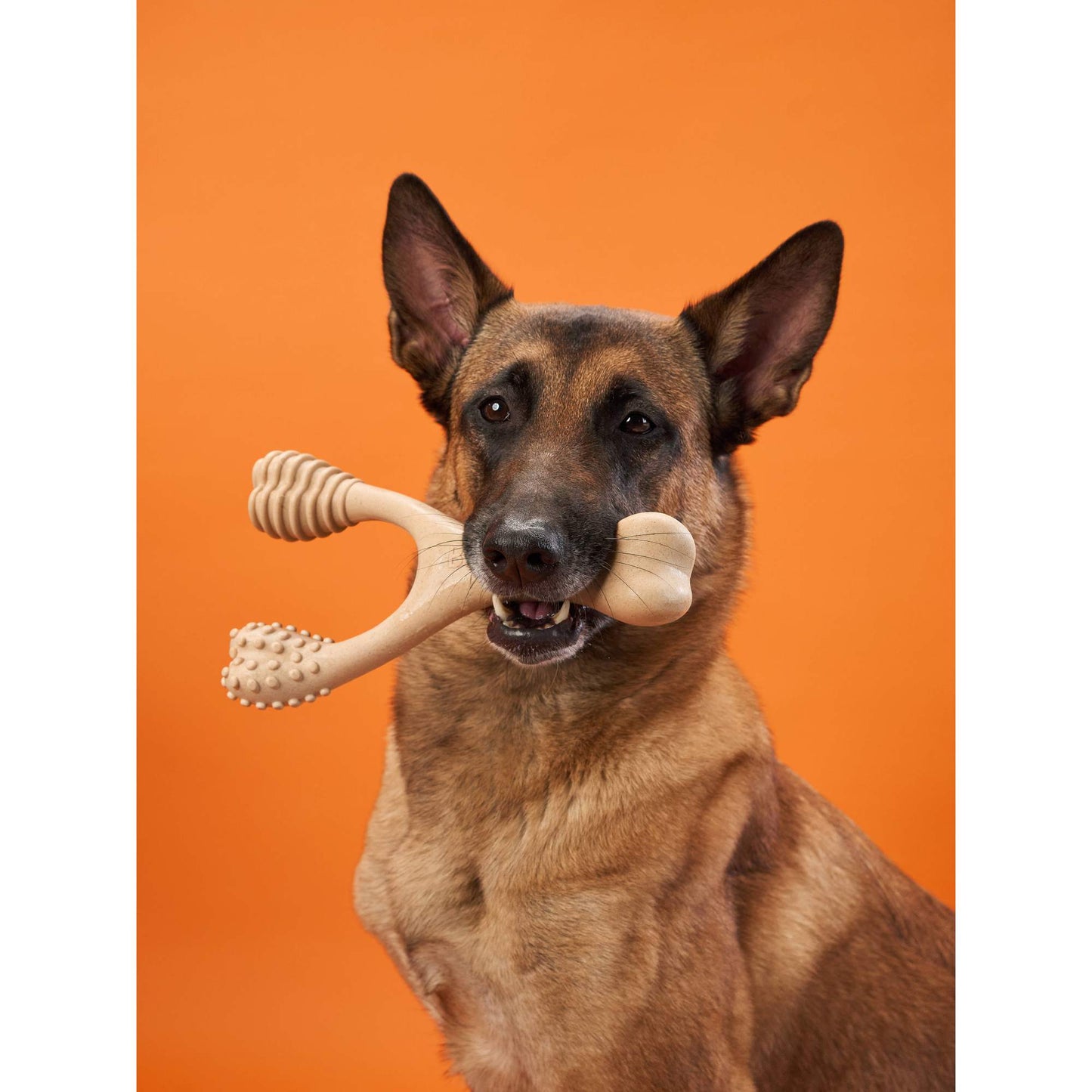 BetterBone HARD CHEW TOY: The natural, eco-friendly, and ultra-durable chew for the toughest chewers!