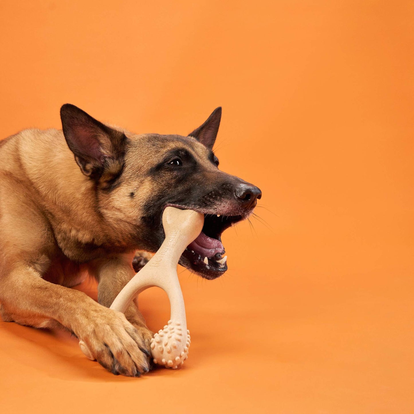 BetterBone HARD CHEW TOY: The natural, eco-friendly, and ultra-durable chew for the toughest chewers!