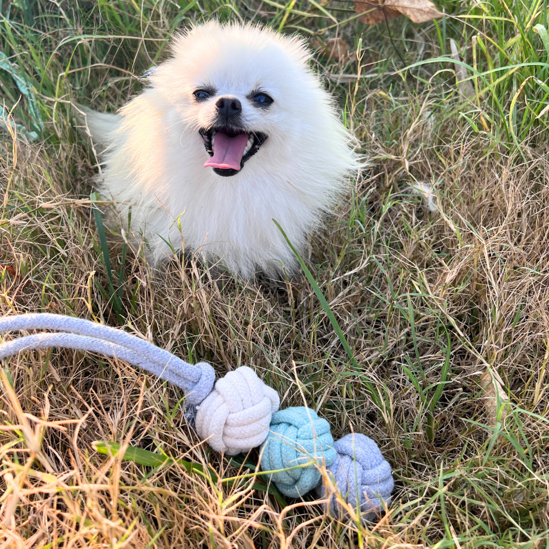 Mint Ice Cream Rope Balls Puppy Tug Toy - Perfect Size for Small Dogs, 15" Long