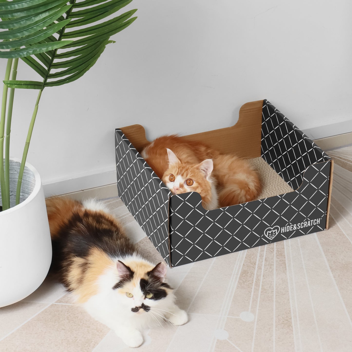 Extra-Large 13" Cat Scratcher Box for Indoor Cats - Hide & Scratch with Deep 7.5" Sides