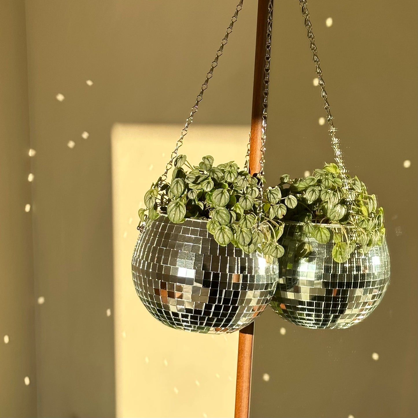 Disco Ball Planter