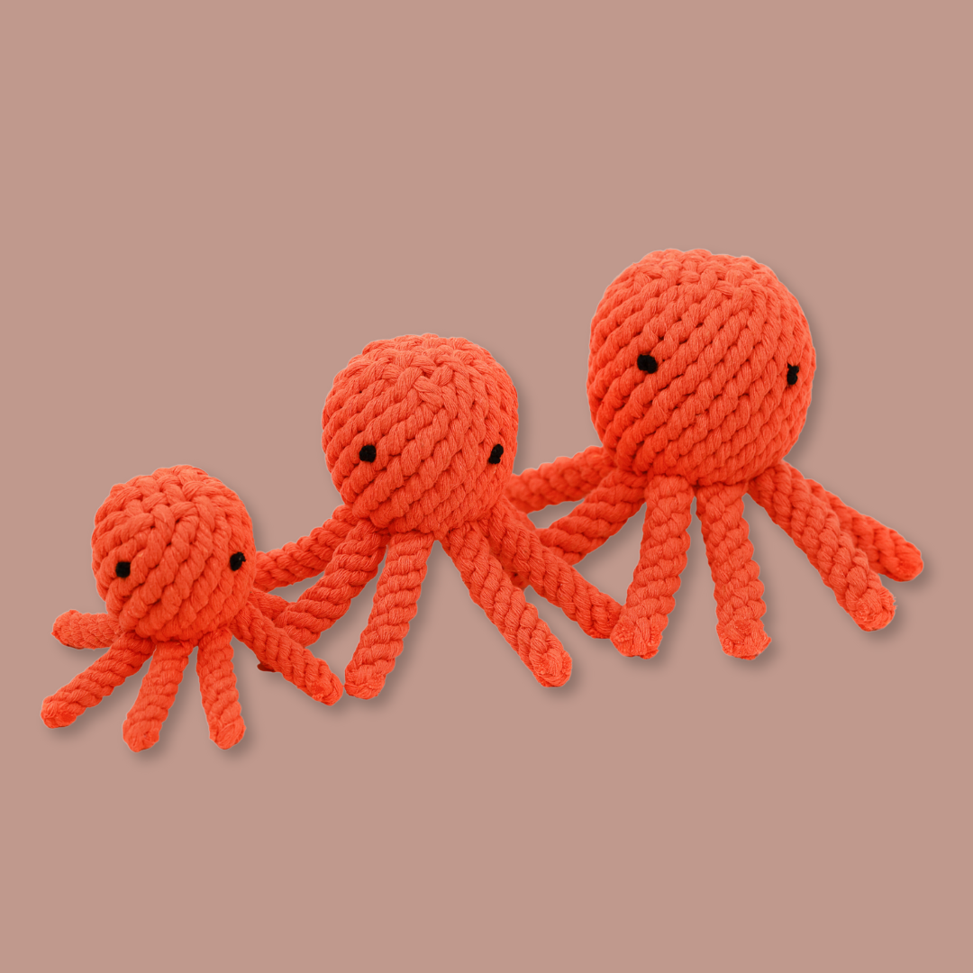 Ollie the Octopus Rope Toy