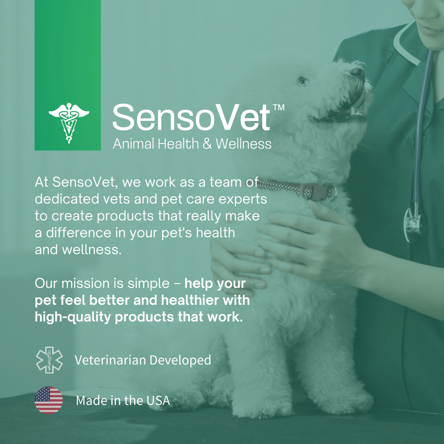 SensoVet Calm & Relax Hemp Chews for Dogs - 60 Grain-Free Soft Chews for Anxiety Relief