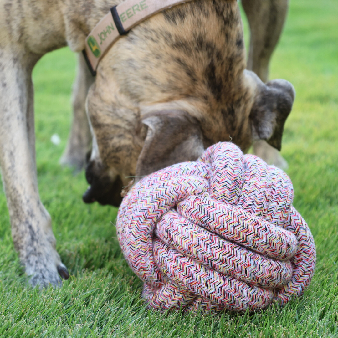 Bean Red Bliss Rope Ball Toy Collection