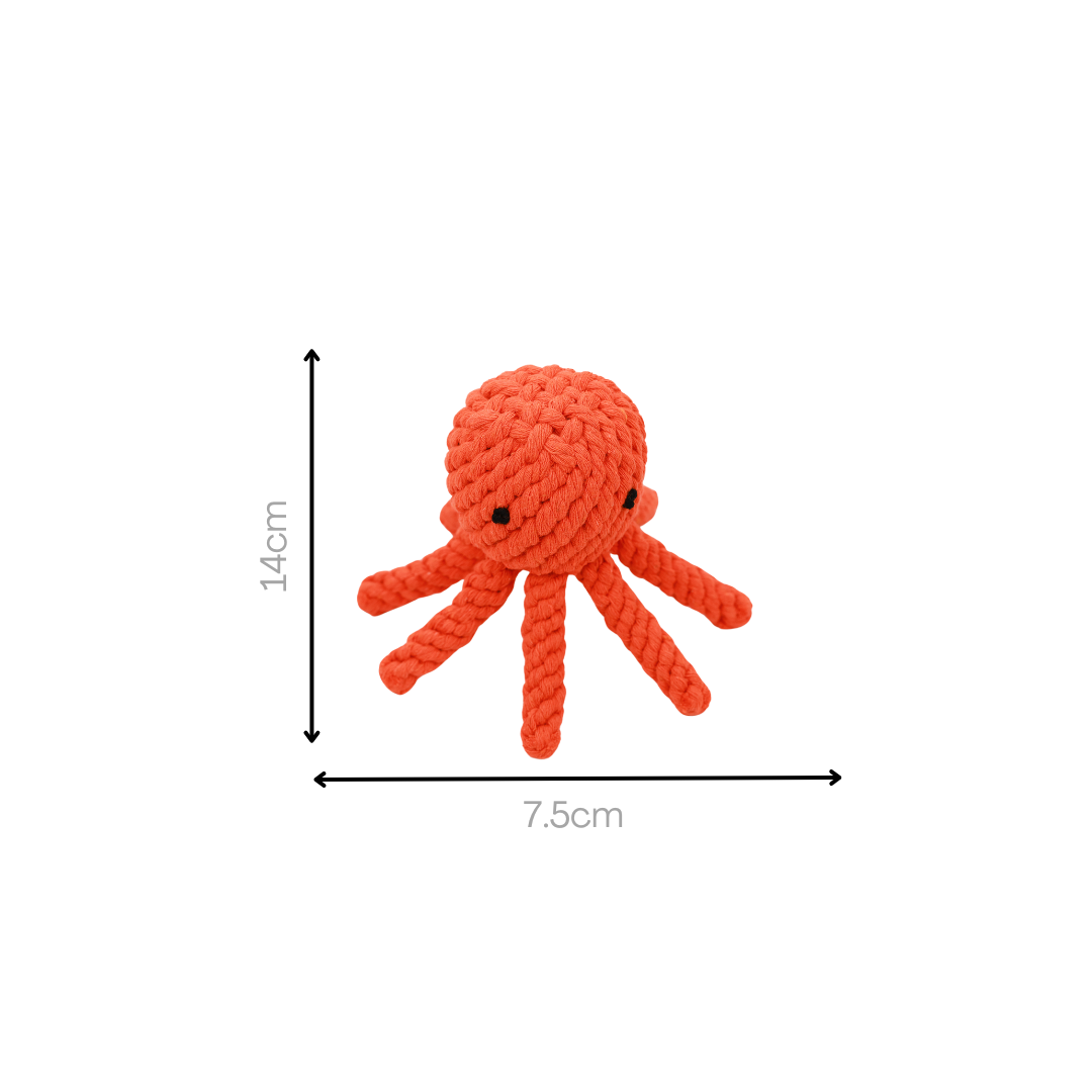 Ollie the Octopus Rope Toy