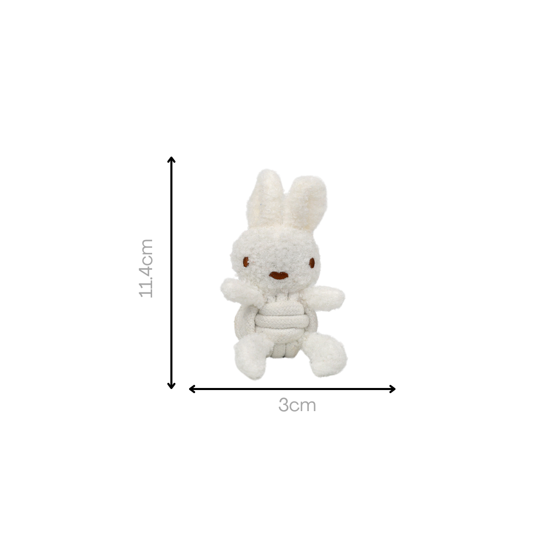 Squeaky Rope Buddies – Eco-Friendly Plush Toys for Dogs in Charming Bear and Rabbit Designs