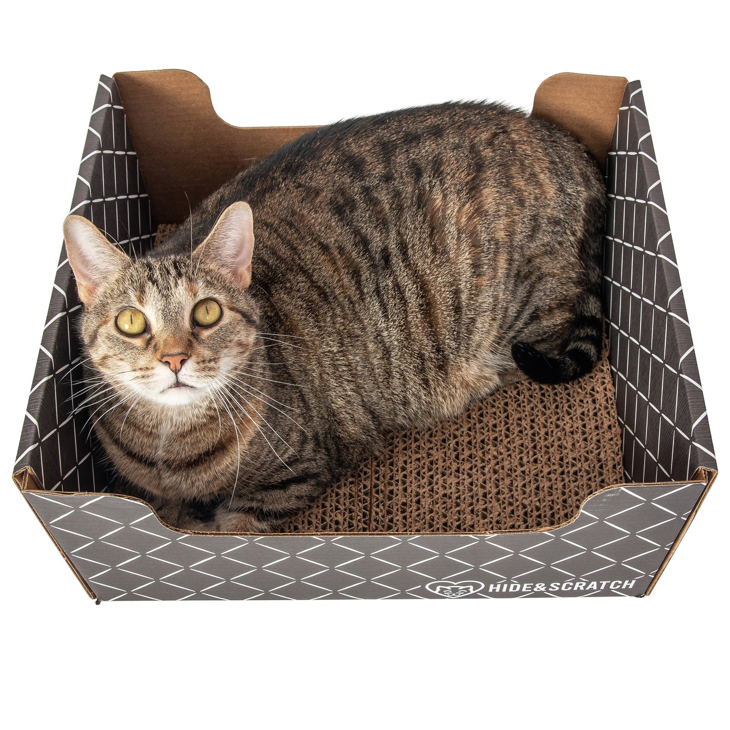 Extra-Large 13" Cat Scratcher Box for Indoor Cats - Hide & Scratch with Deep 7.5" Sides