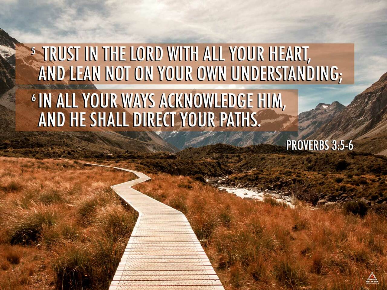 Proverbs 3:5-6 Poster Trust in the Lord Bible Verse Quote Wall Art (24"x18")