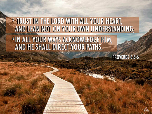 Proverbs 3:5-6 Poster Trust in the Lord Bible Verse Quote Wall Art (24"x18")