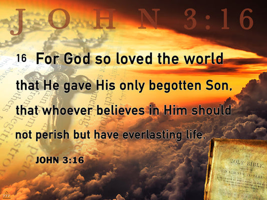 John 3:16 Poster Bible Scripture Quote Inspirational Art Print (24"x18")