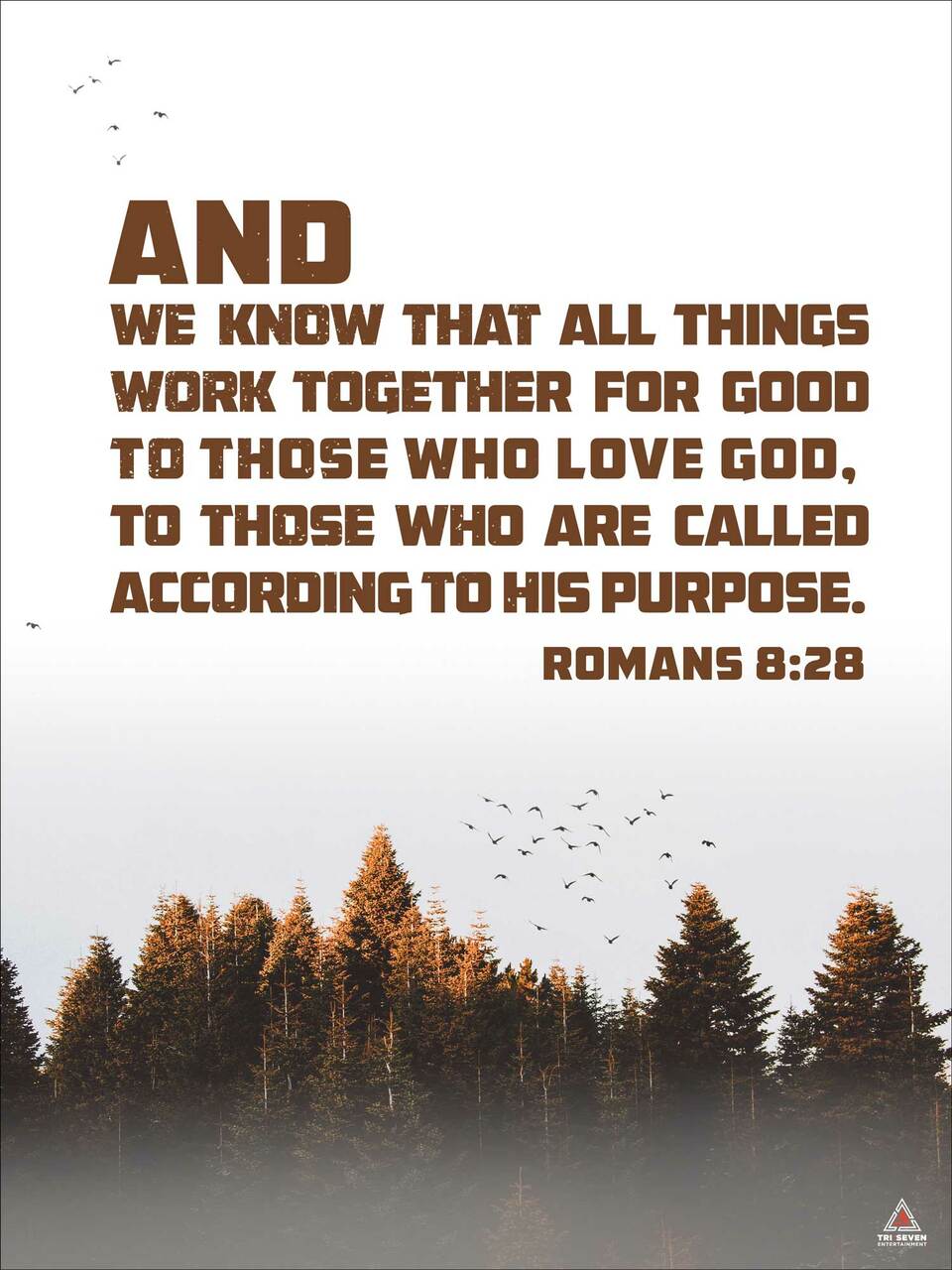 Romans 8:28 Poster All Things Work Together Bible Verse Quote Wall Art (18"x24")