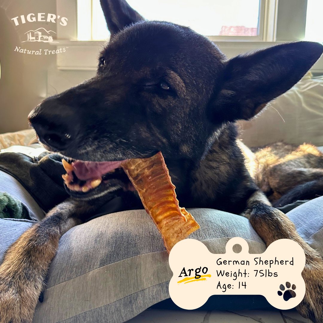 Natural Beef Trachea Dog Treats – Crunchy, Healthy Chew for Dogs