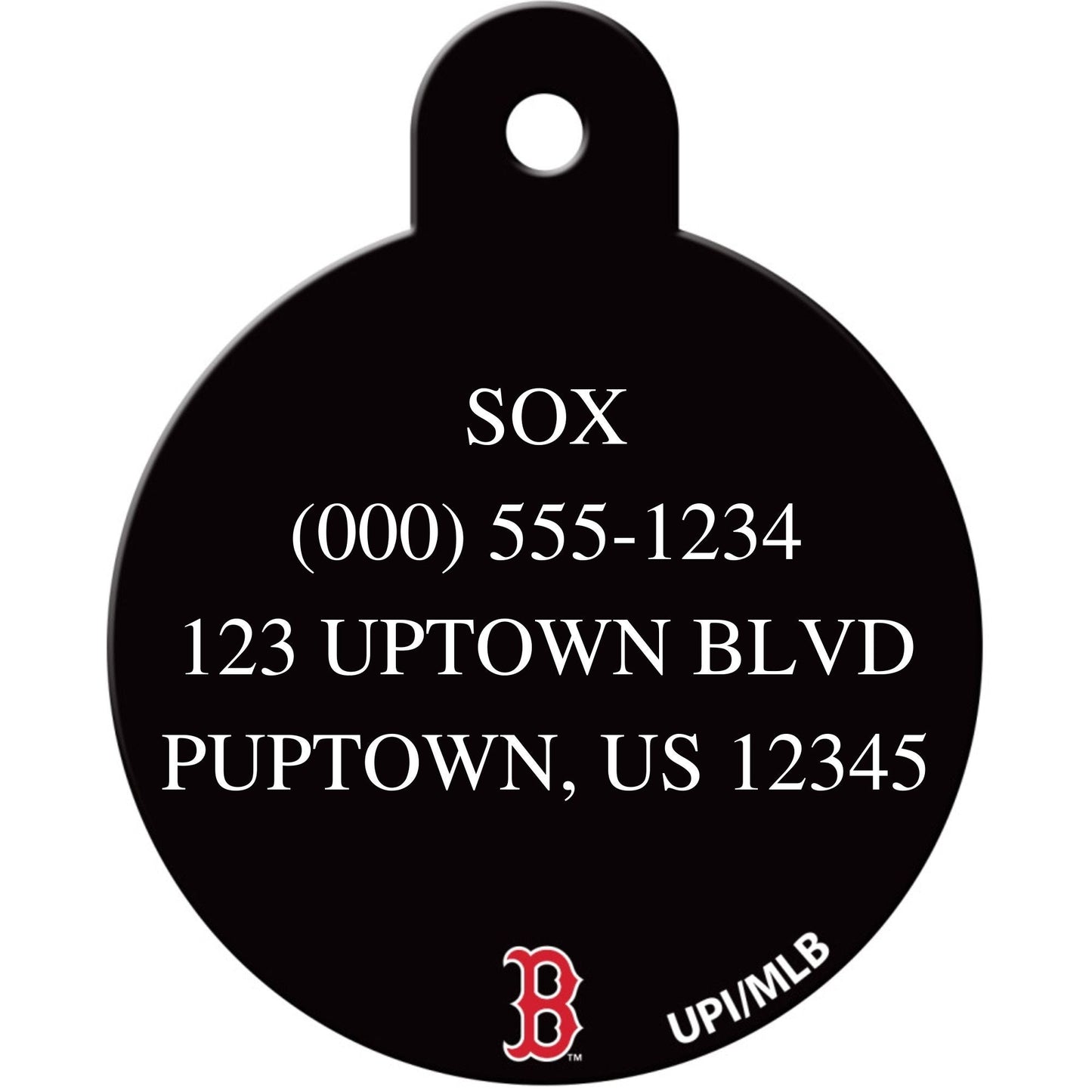 Boston Red Sox MLB Pet ID Tag - Large Circle