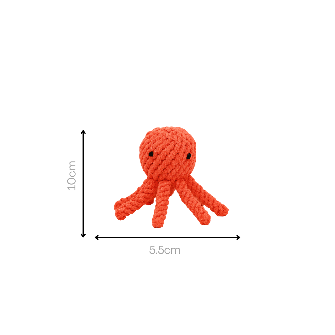 Ollie the Octopus Rope Toy