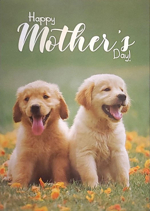 Two Of A Kind - Mother's Day Greeting Card