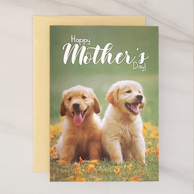 Two Of A Kind - Mother's Day Greeting Card